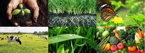 Why use a bio-organically sustainable fertilisers.